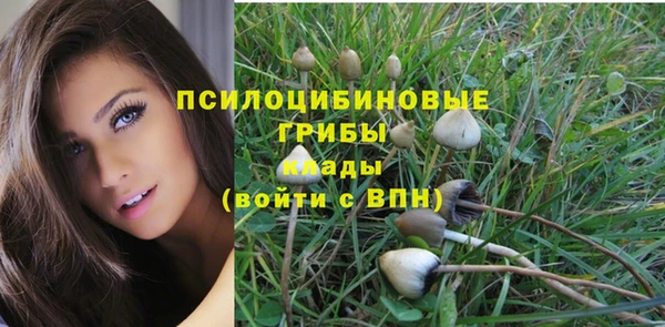 марихуана Белокуриха